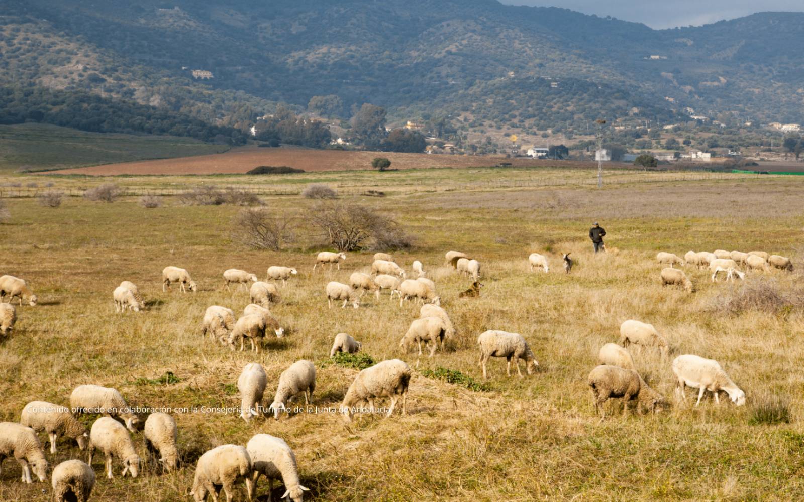 Andalucía, Naturalmente Responsable