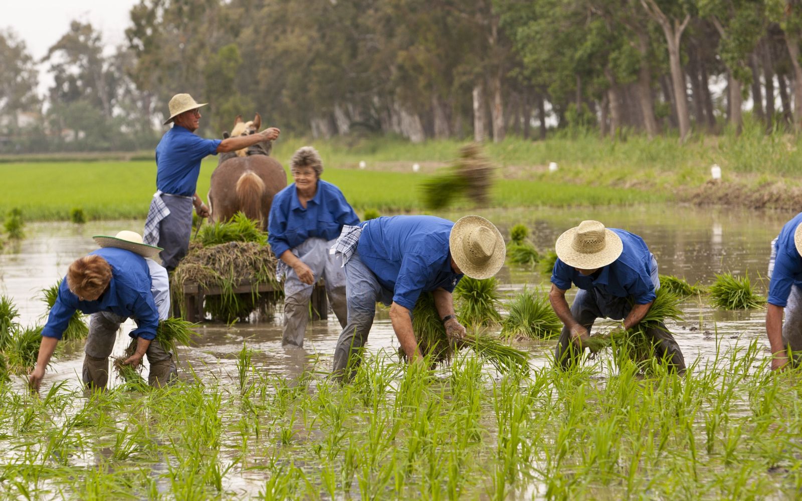 Agroturismo en Cataluña