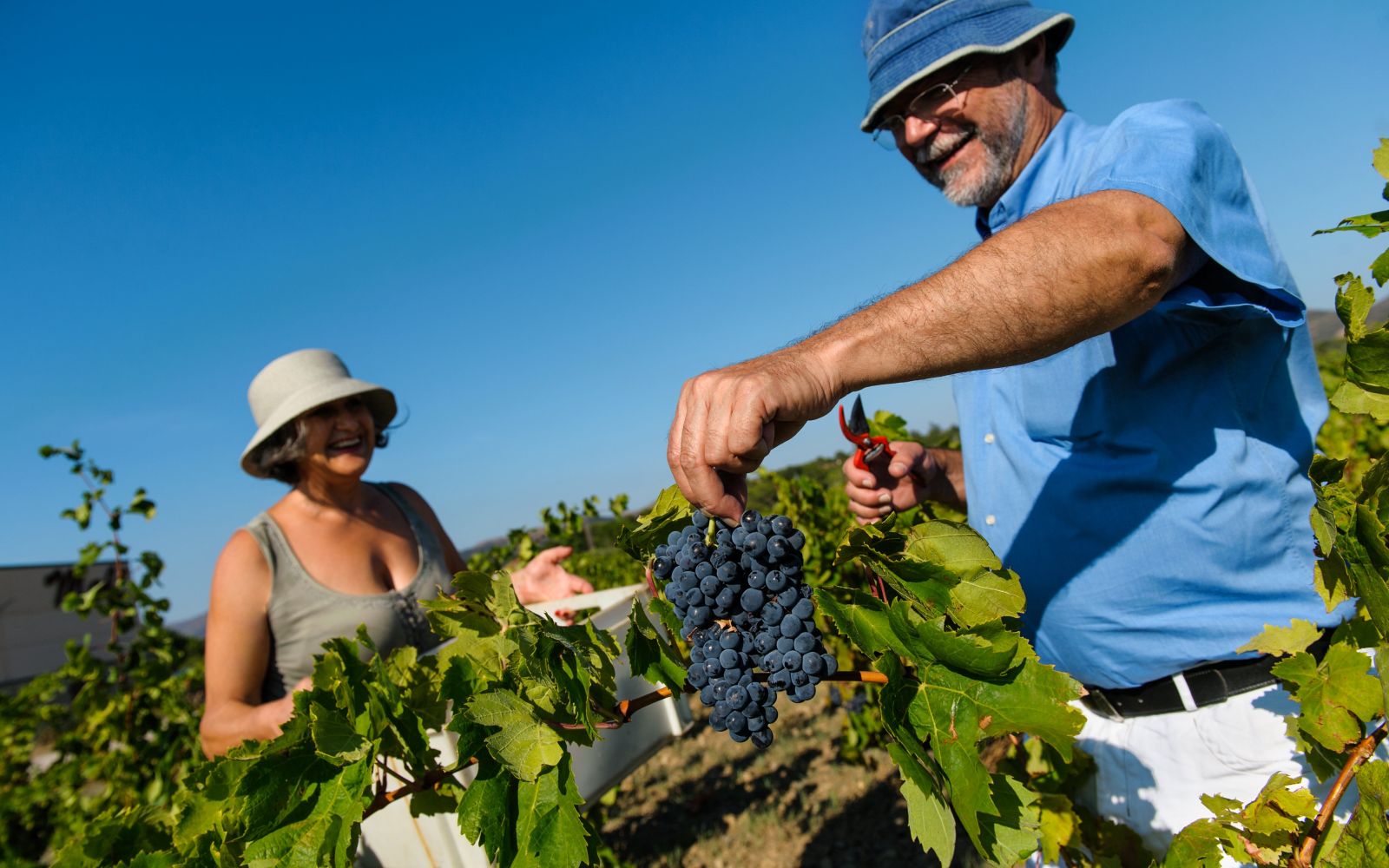 Agroturismo en Cataluña