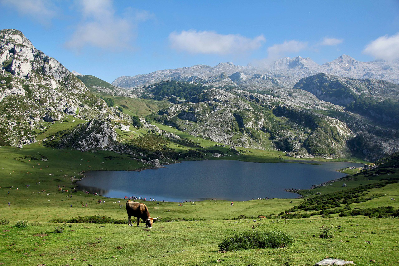 <strong>Hoteles y Casas Rurales de Fin de Semana en Asturias</strong>