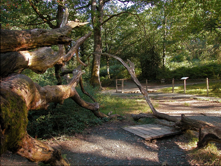 <strong>Bosque de Orgi - Casas y Hoteles Rurales en Navarra</strong>