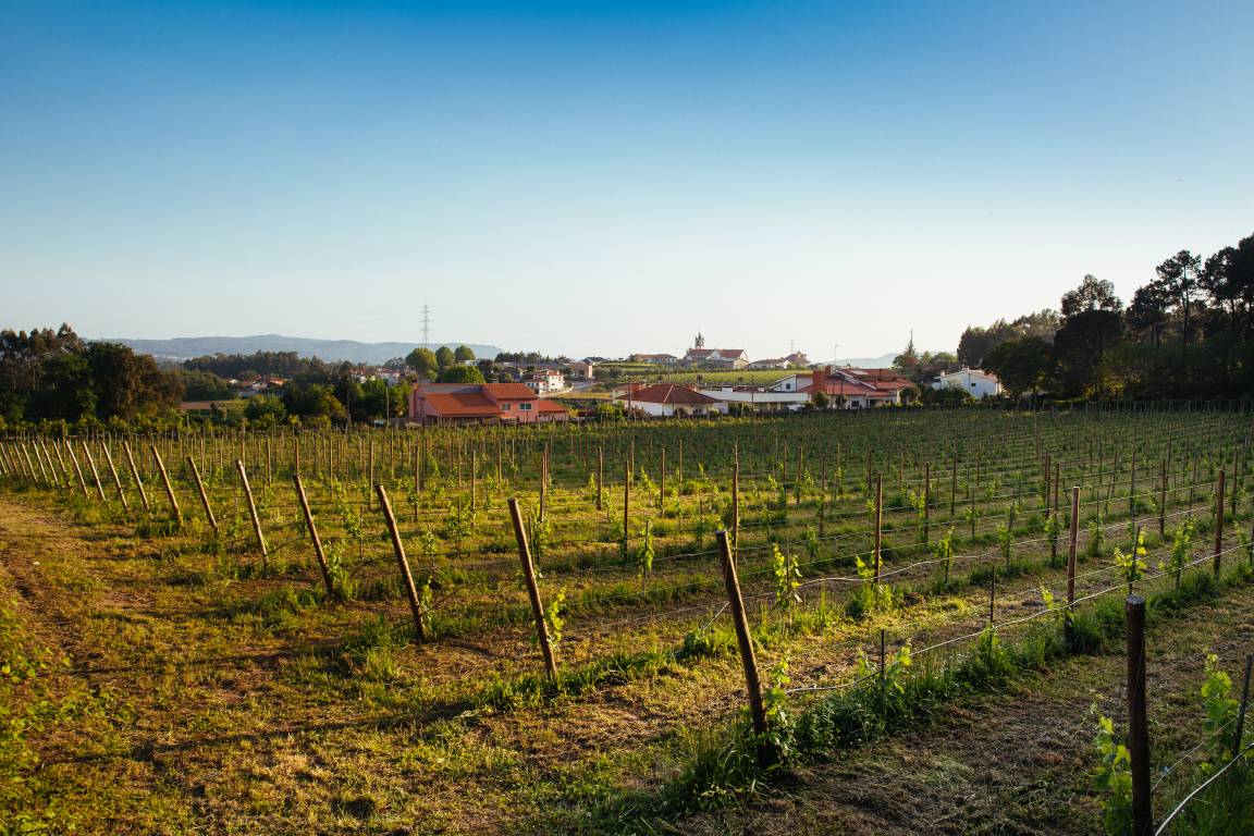 <strong>Wine Hotels in Spain & Enotourism HOTEL QUINTA DA BOUÇA D'ARQUES</strong>