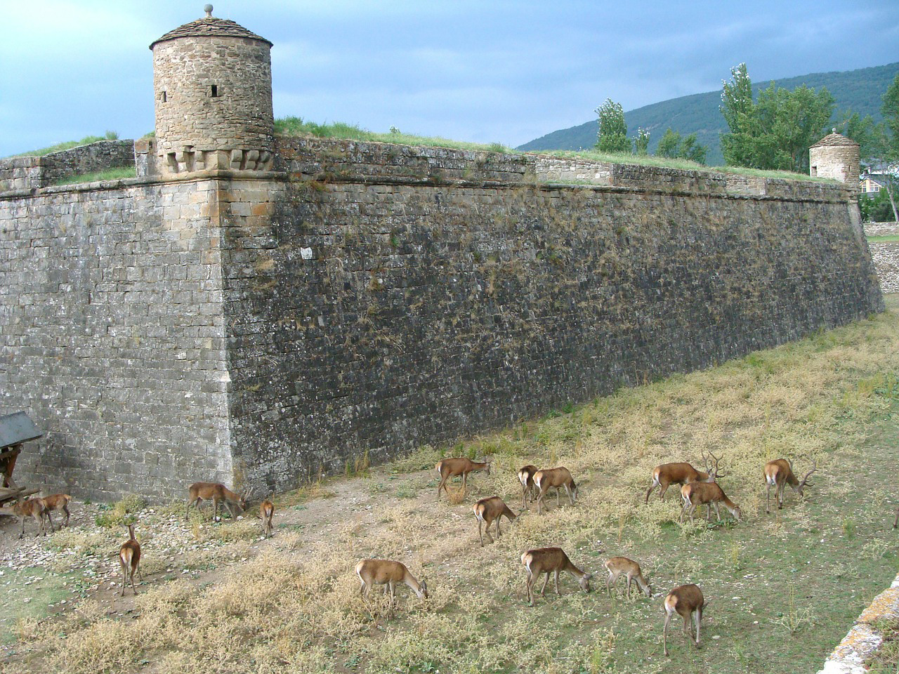 Hotels in Aragonese Pyrenees Charming cottages