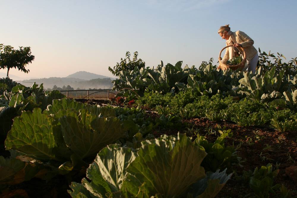 <strong>Eco-Friendly Hotel La Garriga de Castelladral organic garden</strong>