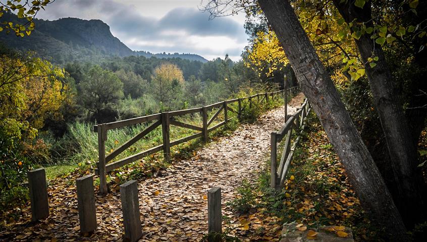 Hoteles en Xátiva