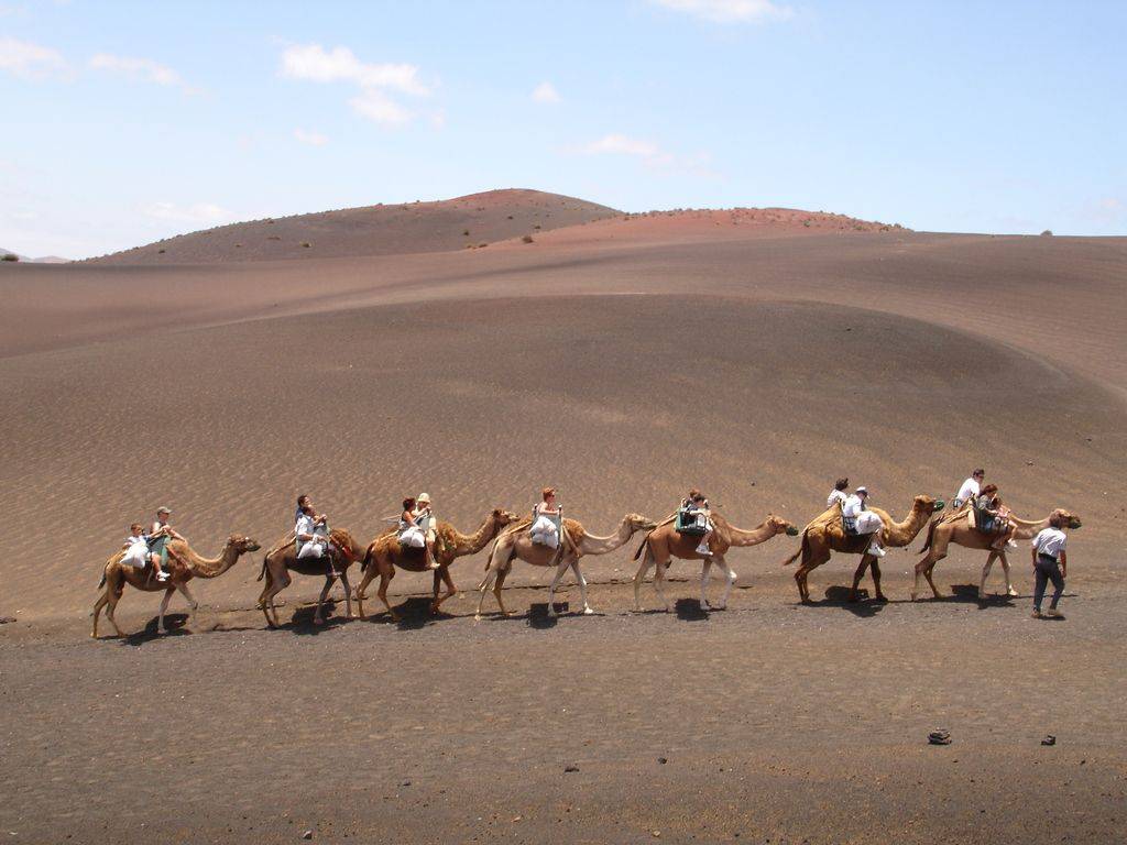 <strong>Hotels auf Lanzarote</strong>