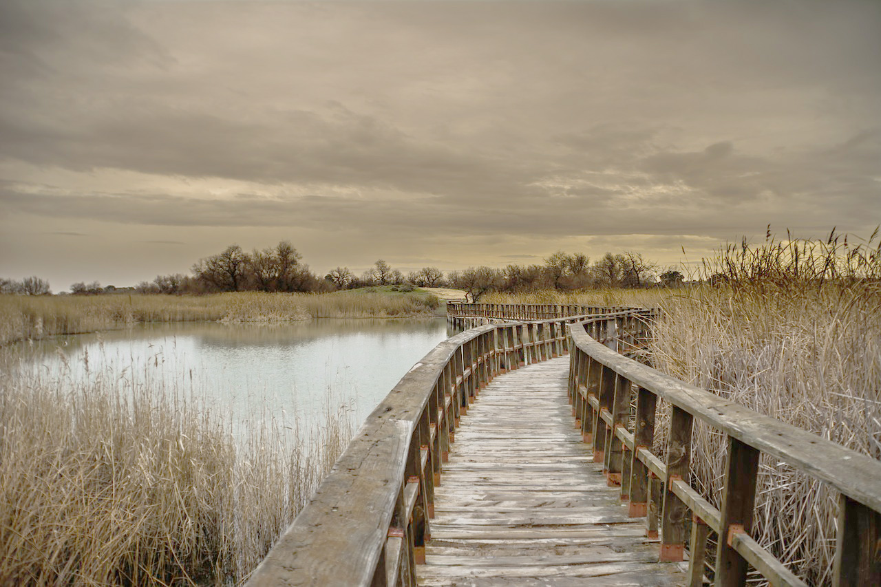 <strong>Tablas de Daimiel Parque Nacional - Hoteles en Daimiel Rusticae</strong>