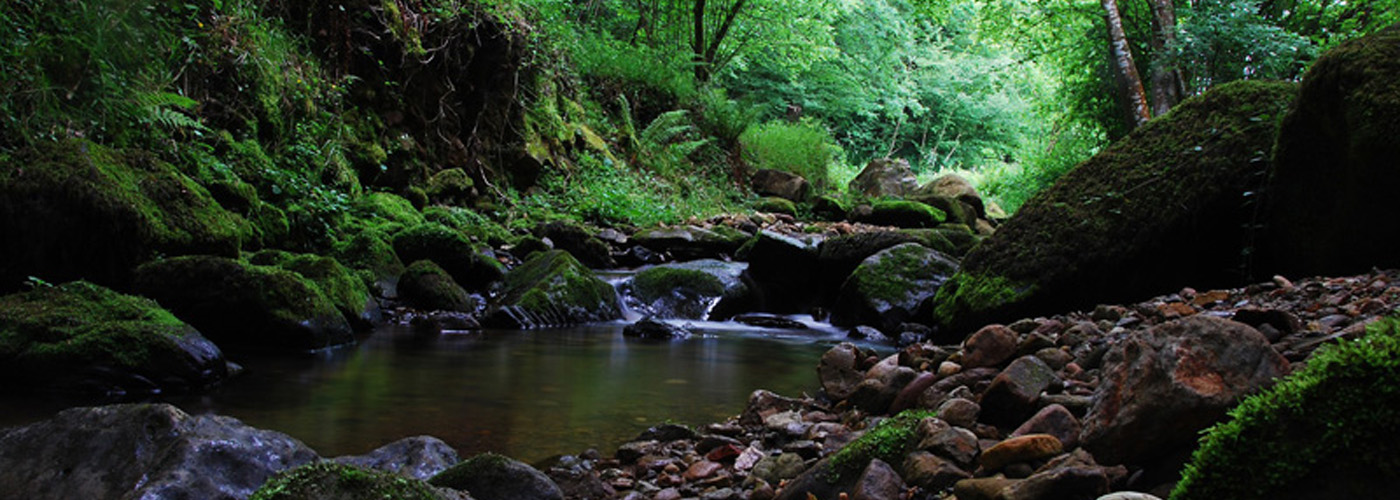 Cantabria, una y mil veces