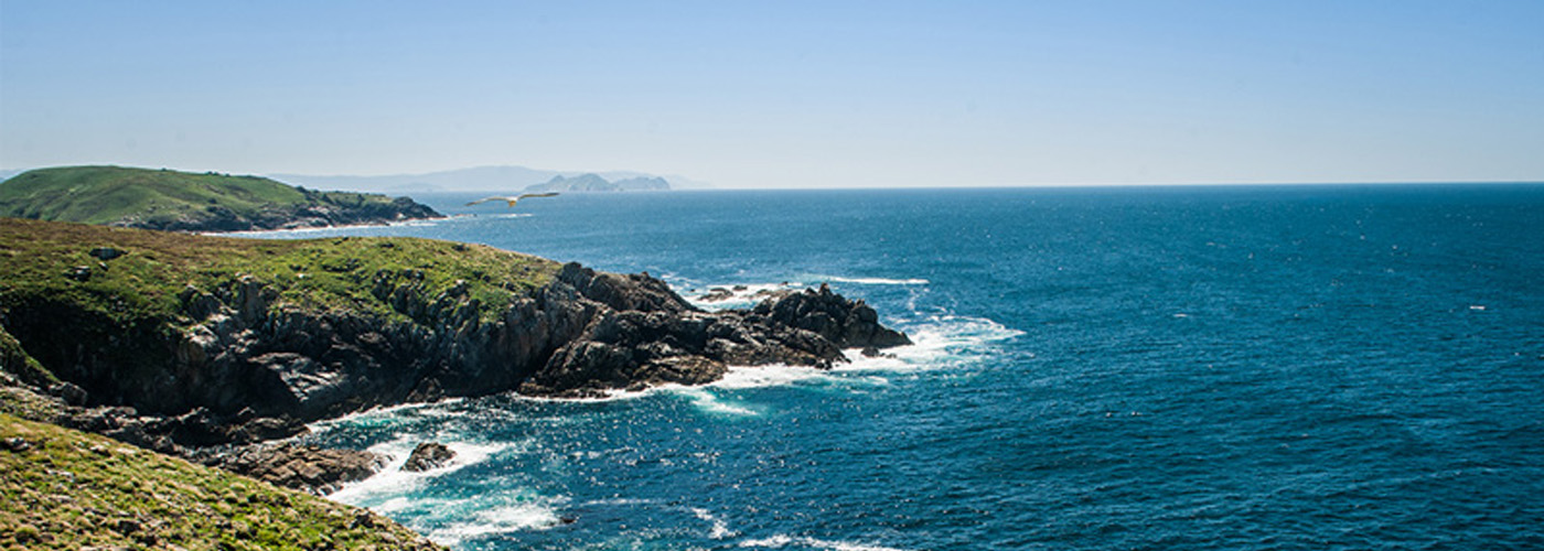 PONTEVEDRA, AQUÍ EMPIEZA TU VIAJE