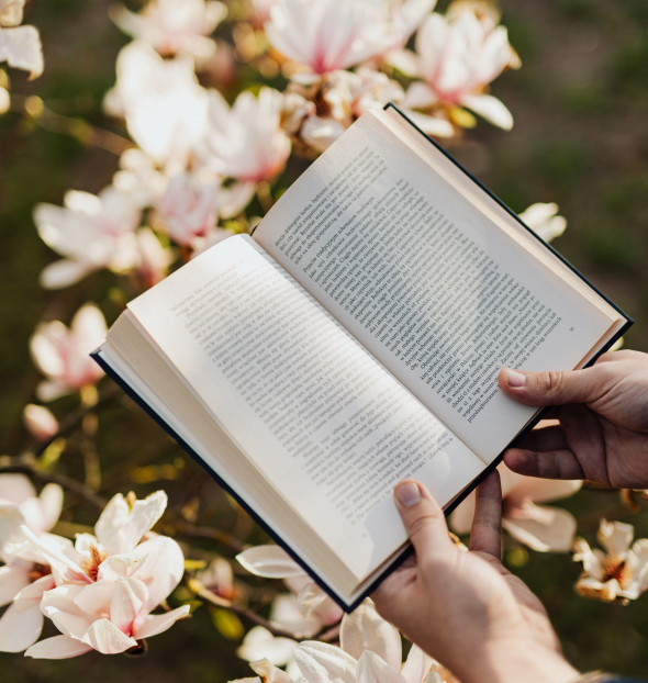 Tu lectura preferida es...