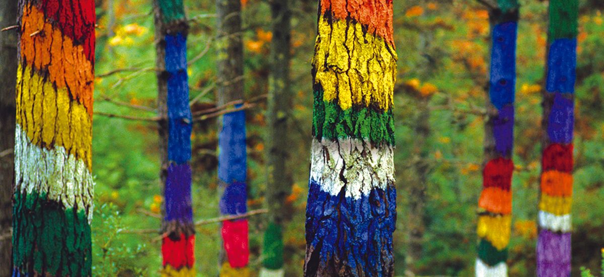 Gift Key Enchanted Forests