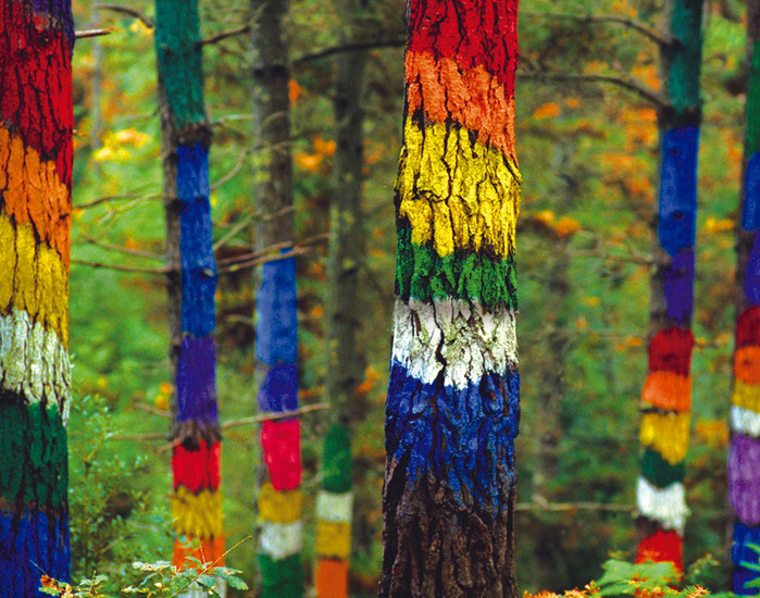 Bosques Encantados 